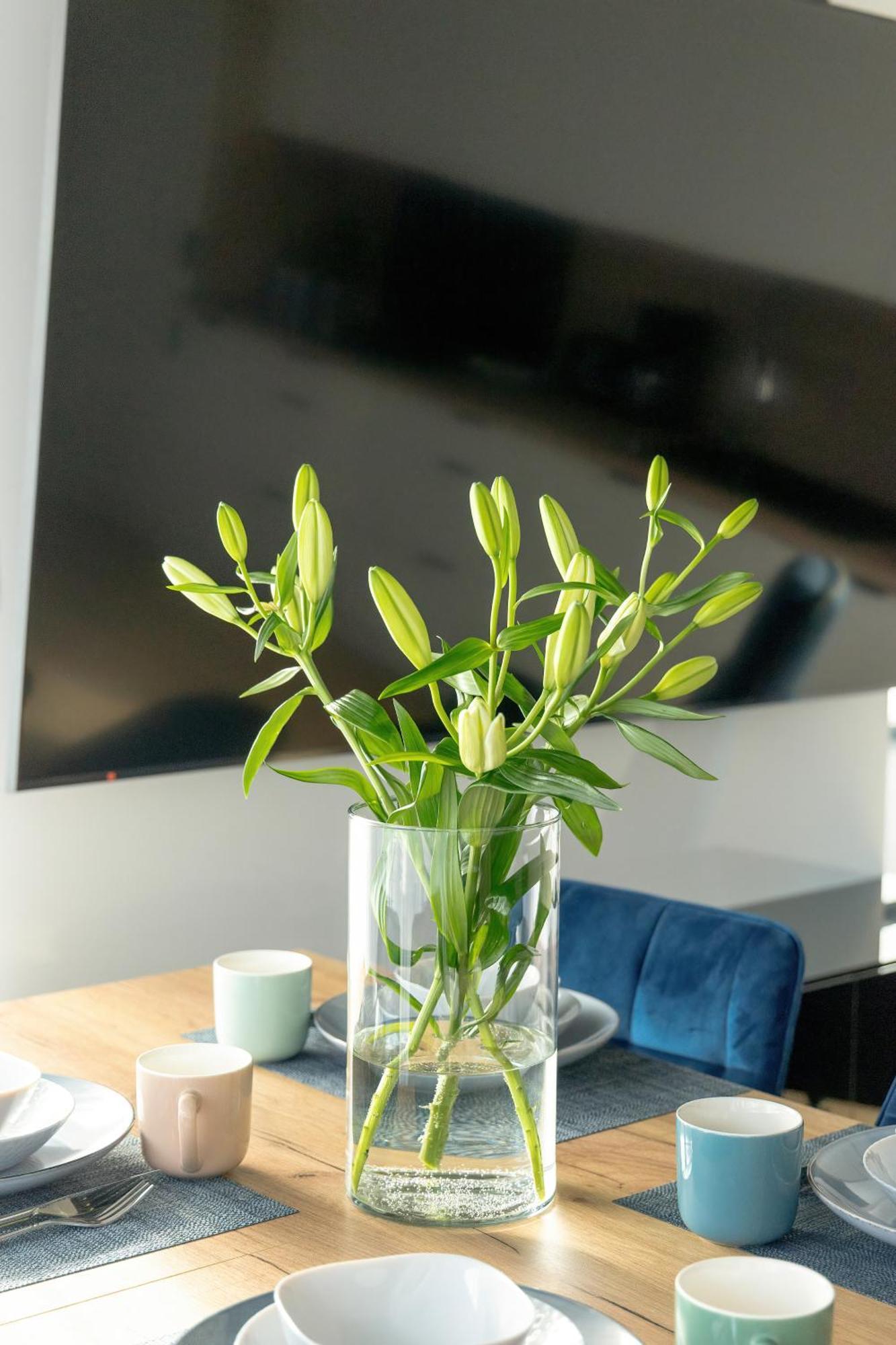Apartment Stylish Wyspa Solna By Renters Prestige Kolobrzeg